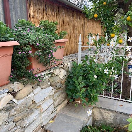 Apartament Antica Casa Nel Borgo Pietrasanta Zewnętrze zdjęcie