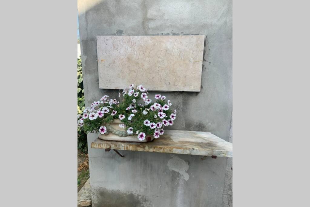 Apartament Antica Casa Nel Borgo Pietrasanta Zewnętrze zdjęcie